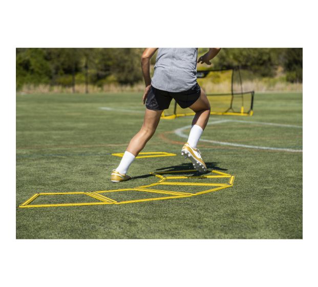 AGILITY TRAINER PRO (SET OF 10)