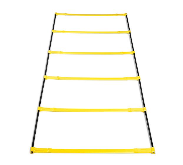 ELEVATION LADDER